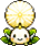蒲公英种种