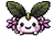 石豆兰种种