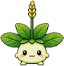 车前草种种