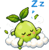 野生茶种种